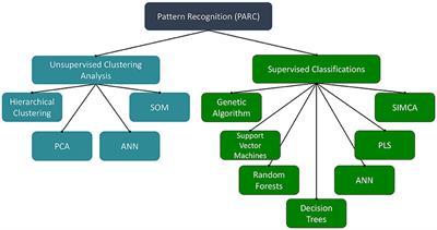 Chemometric-Guided Approaches for Profiling and Authenticating Botanical Materials